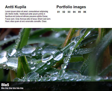 Screenshot from Flash portfolio
